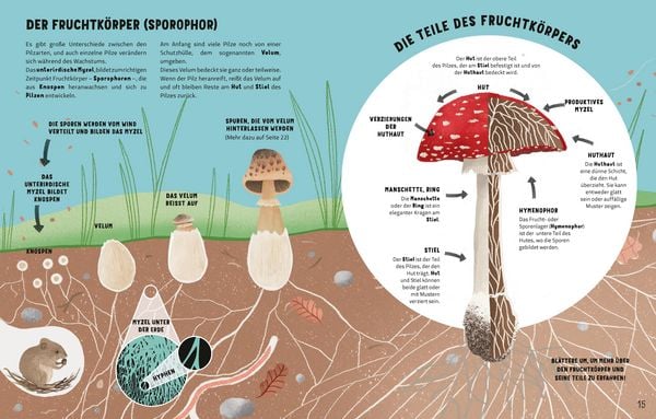 Produktbild: Die Geheimnisse der Pilze