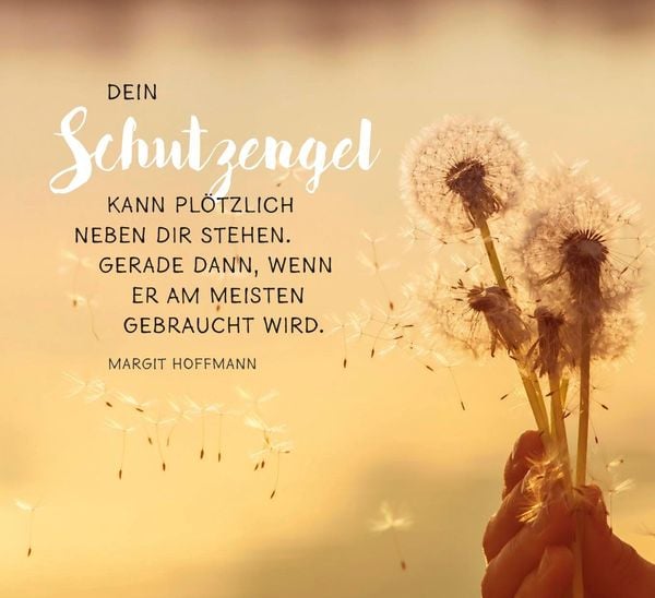 Produktbild: Mein kleines Schutzengelchen &ndash; Botschaften f&uuml;r jeden Tag