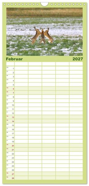 Produktbild: Familienplaner 2027 - Feldhasen in H&ouml;chstform mit 5 Spalten (Wandkalender, 21 x 45 cm) CALVENDO