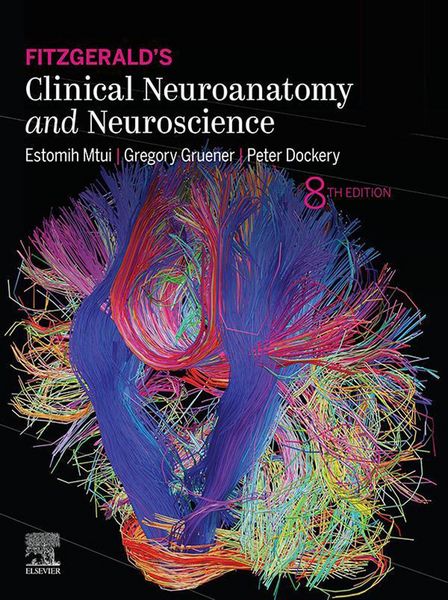 Produktbild: Fitzgerald's Clinical Neuroanatomy and Neuroscience E-Book