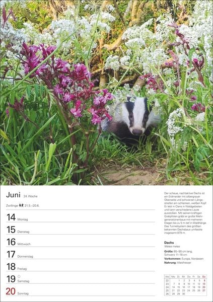 Produktbild: Heimische Tiere Wochenplaner 2027 - 53 faszinierende Fotografien