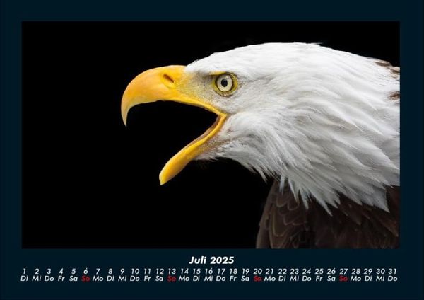 Produktbild: Adler 2025 Fotokalender DIN A4