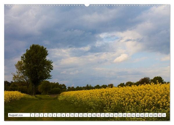 Produktbild: Osterholz-Scharmbeck, Natur-Impressionen aus dem Teufelsmoor (Wandkalender 2026 DIN A2 quer), CALVENDO Monatskalender