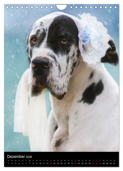 Produktbild: Faszination Deutsche Dogge (Wandkalender 2026 DIN A4 hoch), CALVENDO Monatskalender