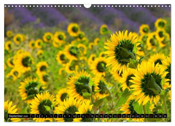 Produktbild: Provence (Wandkalender 2026 DIN A3 quer), CALVENDO Monatskalender