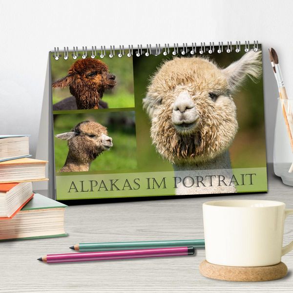 Produktbild: Alpakas im Portrait (Tischkalender 2026 DIN A5 quer), CALVENDO Monatskalender