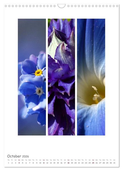 Produktbild: Colours of Nature - Triptycha (Wall Calendar 2026 DIN A3 portrait), CALVENDO 12 Month Wall Calendar