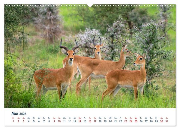 Produktbild: Fernweh Uganda - Natursch&ouml;nheit Ostafrikas (hochwertiger Premium Wandkalender 2026 DIN A2 quer), Kunstdruck in Hochglanz