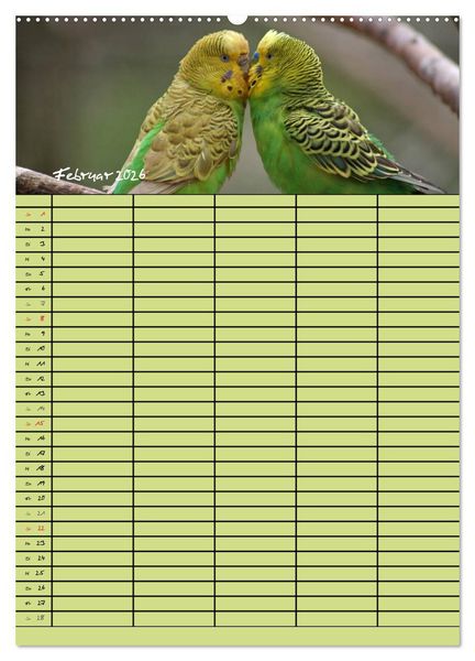 Produktbild: Der Wellensittich-Familienplaner (hochwertiger Premium Wandkalender 2026 DIN A2 hoch), Kunstdruck in Hochglanz