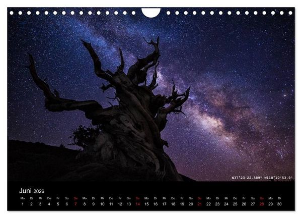 Produktbild: More Wild, Wild Places 2026 (Wandkalender 2026 DIN A4 quer), CALVENDO Monatskalender