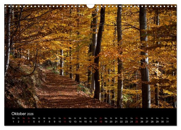 Produktbild: Harz-Bilder (Wandkalender 2026 DIN A3 quer), CALVENDO Monatskalender