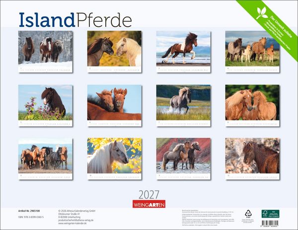 Produktbild: Islandpferde Kalender 2027