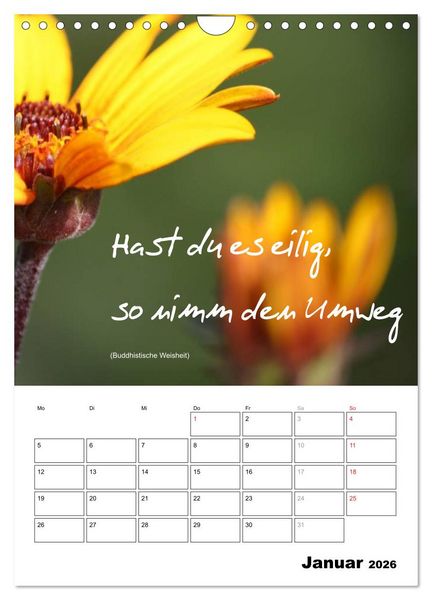 Produktbild: Spr&uuml;che und Weisheiten f&uuml;r&acute; s Jahr (Wandkalender 2026 DIN A4 hoch), CALVENDO Monatskalender