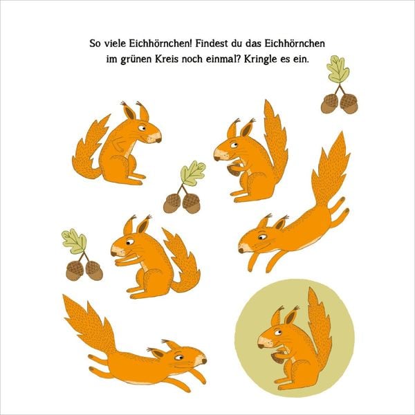 Produktbild: Naturr&auml;tsel im Herbst