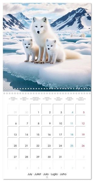 Produktbild: Animals of Arctic (Wall Calendar 2026 12 &times; 12 Inch) CALVENDO 12 Month Wall Calendar