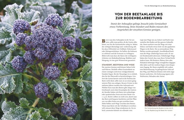 Produktbild: Wintergem&uuml;se anbauen