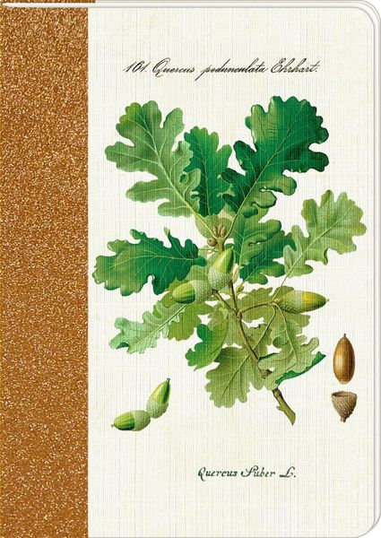 Produktbild: Notizhefte - Sammlung Augustina - DIN A5