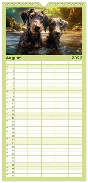 Produktbild: Familienplaner 2027 - Lurcher Portraits - Zwei Welpen entdecken die Welt mit 5 Spalten (Wandkalender, 21 x 45 cm) CALVENDO