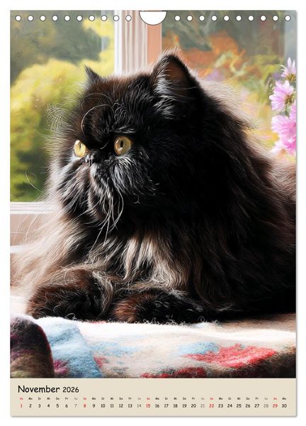 Produktbild: Perserkatzen. Zauberhafte Langhaar-Divas in Szene gesetzt (Wandkalender 2026 DIN A4 hoch), CALVENDO Monatskalender