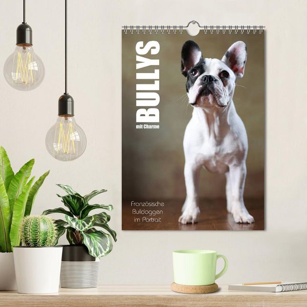 Produktbild: Bullys mit Charme - Franz&ouml;sische Bulldoggen im Portrait (Wandkalender 2026 DIN A4 hoch), CALVENDO Monatskalender