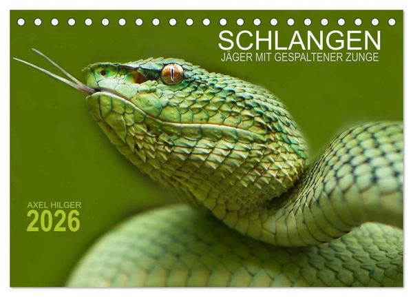 Produktbild: SCHLANGEN. J&Auml;GER MIT GESPALTENER ZUNGE (Tischkalender 2026 DIN A5 quer), CALVENDO Monatskalender