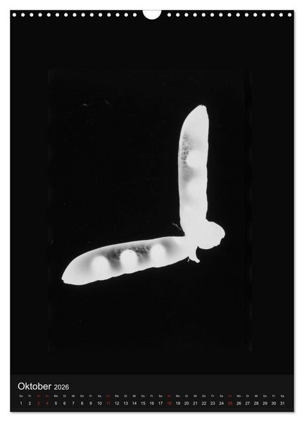 Produktbild: Anton Stankowski Fotogramme (Wandkalender 2026 DIN A3 hoch), CALVENDO Monatskalender
