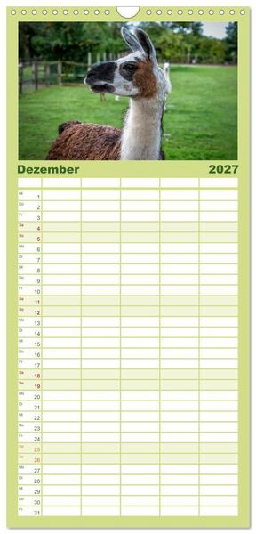 Produktbild: Familienplaner 2027 - Unter Lamas und Alpakas mit 5 Spalten (Wandkalender, 21 x 45 cm) CALVENDO