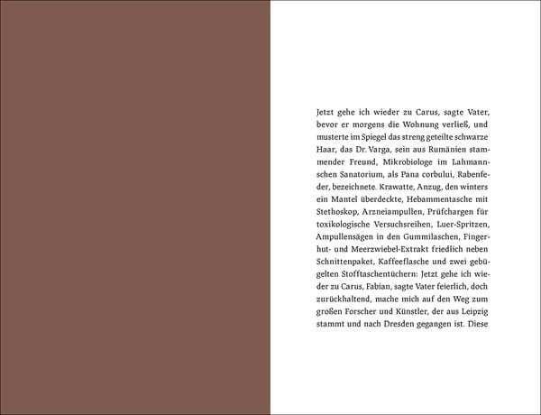 Produktbild: Die Carus-Sachen