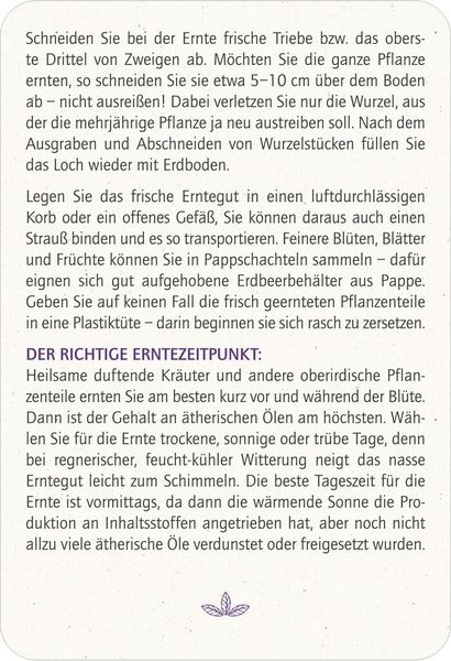 Produktbild: Blatt & Bl&uuml;te Heilsame Pflanzen