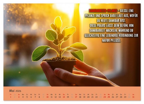 Produktbild: Dein Achtsamkeitskalender (Tischkalender 2026 DIN A5 quer), CALVENDO Monatskalender