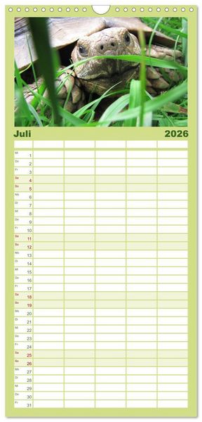 Produktbild: Familienplaner 2026 - Landschildkr&ouml;ten mit 5 Spalten (Wandkalender, 21 x 45 cm) CALVENDO
