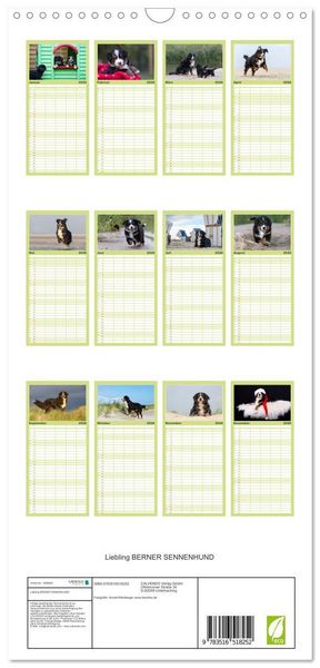 Produktbild: Familienplaner 2026 - Liebling BERNER SENNENHUND mit 5 Spalten (Wandkalender, 21 x 45 cm) CALVENDO