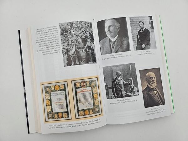 Produktbild: Die Elemente der Marie Curie