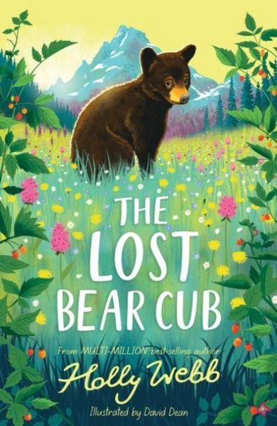 Produktbild: The Lost Bear Cub