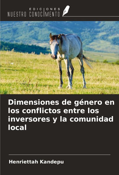Produktbild: Dimensiones de g&eacute;nero en los conflictos entre los inversores y la comunidad local