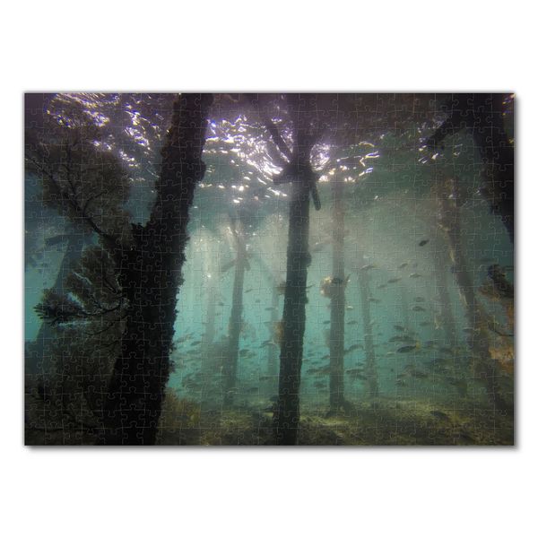 Produktbild: Lais Puzzle Unterwasser Anlegestelle 500 Teile