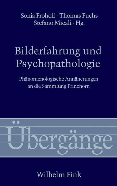 Produktbild: Bilderfahrung und Psychopathologie
