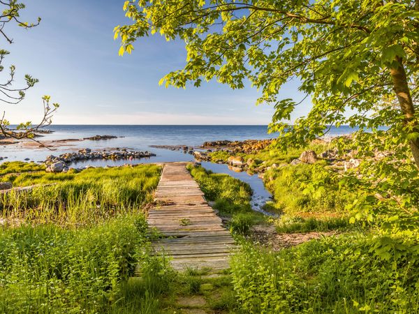 Produktbild: CALVENDO Puzzle Fr&uuml;hlingspracht auf der Insel Bornholm 1000 Teile Lege-Gr&ouml;&szlig;e 64 x 48 cm Foto-Puzzle Bild von Christian M&uuml;ringer