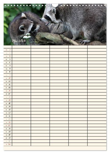 Produktbild: Waschb&auml;ren Familienplaner (Wandkalender 2026 DIN A3 hoch), CALVENDO Monatskalender