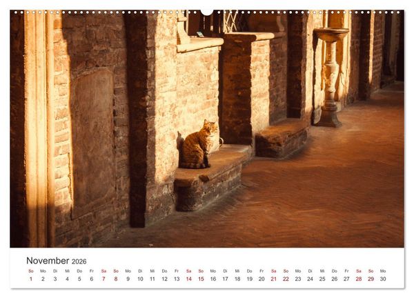Produktbild: Bologna - Impressionen der wundersch&ouml;nen Universit&auml;tsstadt. (Wandkalender 2026 DIN A2 quer), CALVENDO Monatskalender