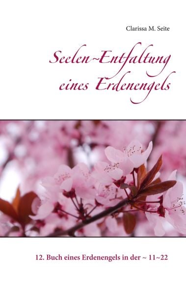 Produktbild: Seelen~Entfaltung eines Erdenengels