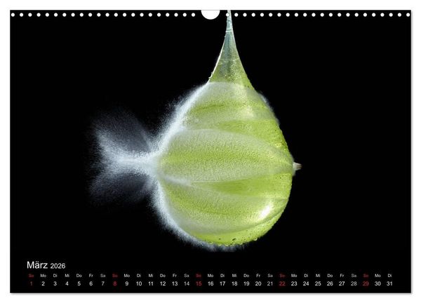 Produktbild: Ballistik Highspeed Fotos (Wandkalender 2026 DIN A3 quer), CALVENDO Monatskalender
