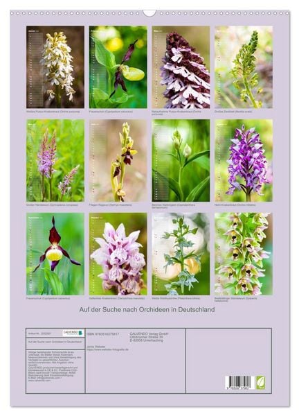 Produktbild: Auf der Suche nach Orchideen in Deutschland (Wandkalender 2026 DIN A2 hoch), CALVENDO Monatskalender