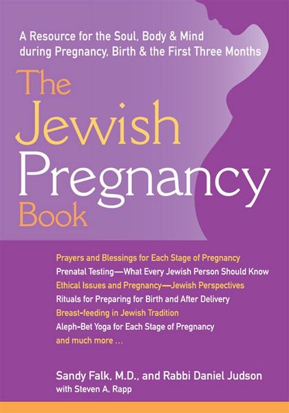 Produktbild: The Jewish Pregnancy Book