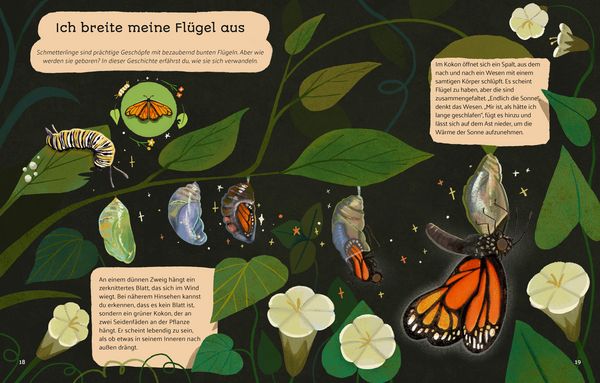 Produktbild: Kleine Geschichten aus der Natur