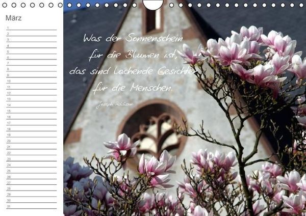 Produktbild: Befl&uuml;gelt (Wandkalender immerw&auml;hrend DIN A4 quer)