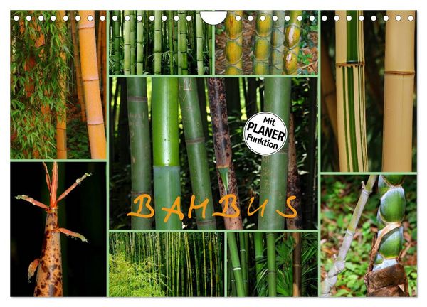 Produktbild: BAMBUS (Wandkalender 2026 DIN A4 quer), CALVENDO Monatskalender