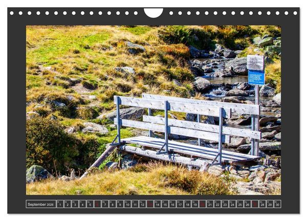 Produktbild: Gr&uuml;&szlig;e aus Wald (Wandkalender 2026 DIN A4 quer), CALVENDO Monatskalender