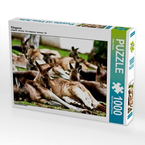 Produktbild: CALVENDO Puzzle K&auml;ngurus | 1000 Teile Lege-Gr&ouml;&szlig;e 64x48cm Foto-Puzzle f&uuml;r gl&uuml;ckliche Stunden