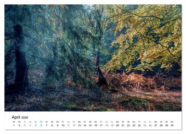 Produktbild: Magie der W&auml;lder Britanniens (Wandkalender 2026 DIN A4 quer), CALVENDO Monatskalender